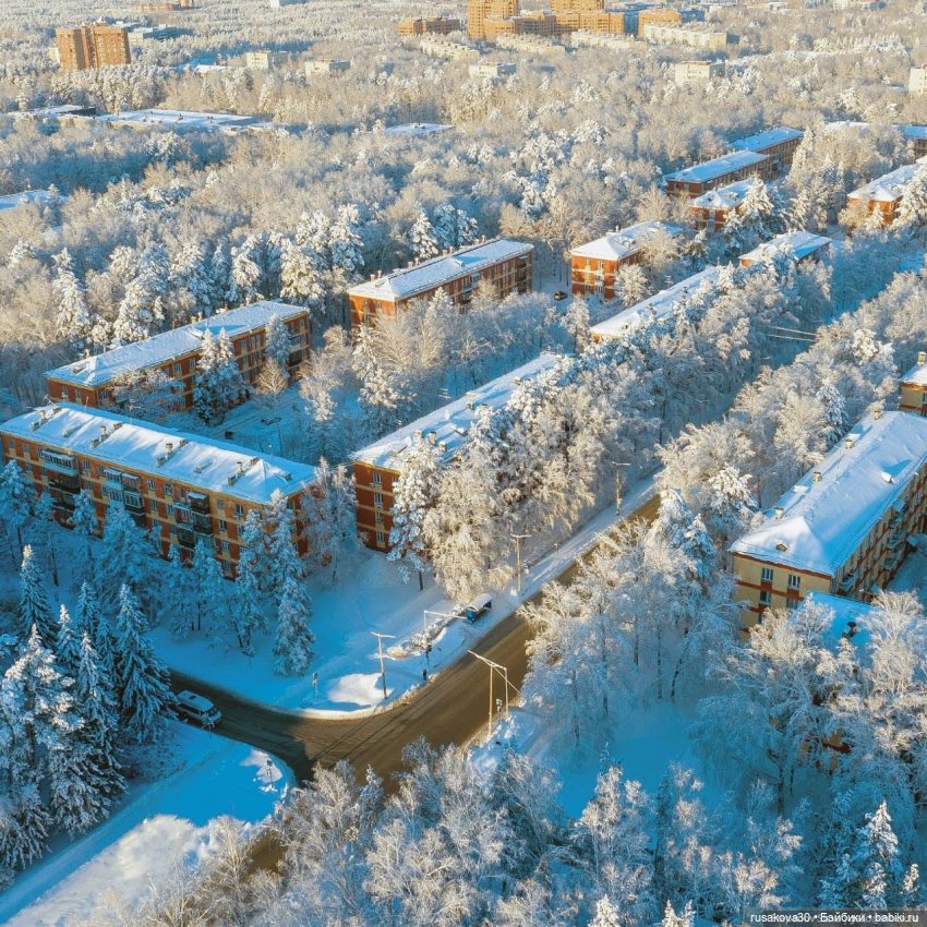 Руби и Енотик гуляют — Экшн (фото 2)