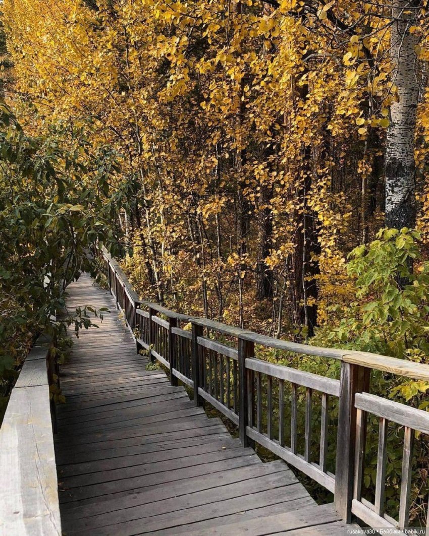 Руби и Енотик гуляют — Экшн (фото 7)