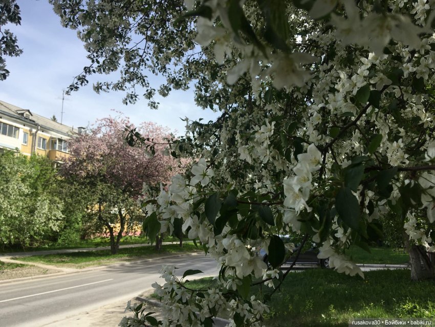 Руби и Енотик гуляют — Экшн (фото 4)