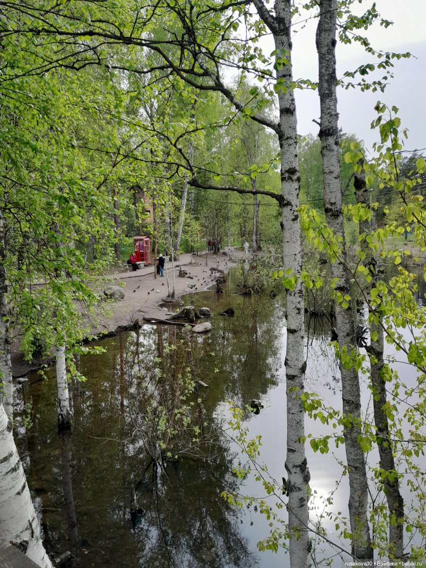 Руби и Енотик гуляют — Экшн