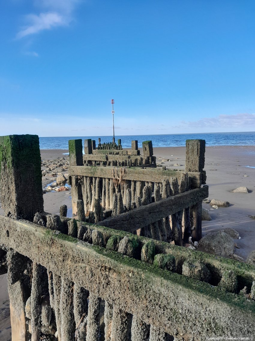 День святого Валентина с Роми и Люком (фото 7)