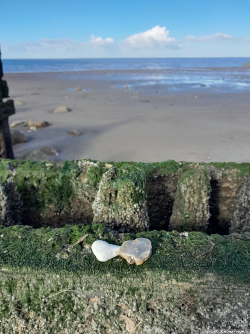 День святого Валентина с Роми и Люком (фото 8)