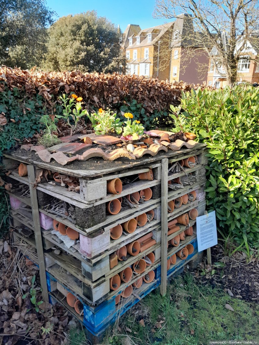 День святого Валентина с Роми и Люком