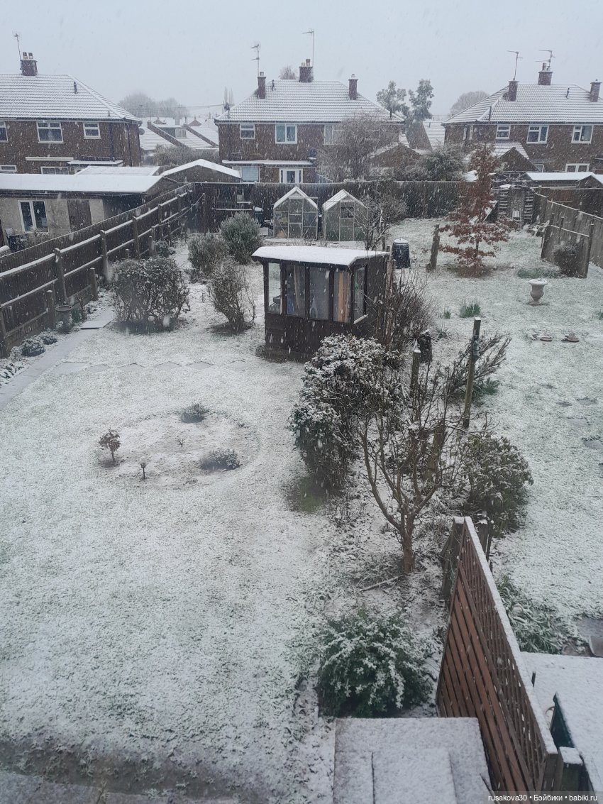 День святого Валентина с Роми и Люком