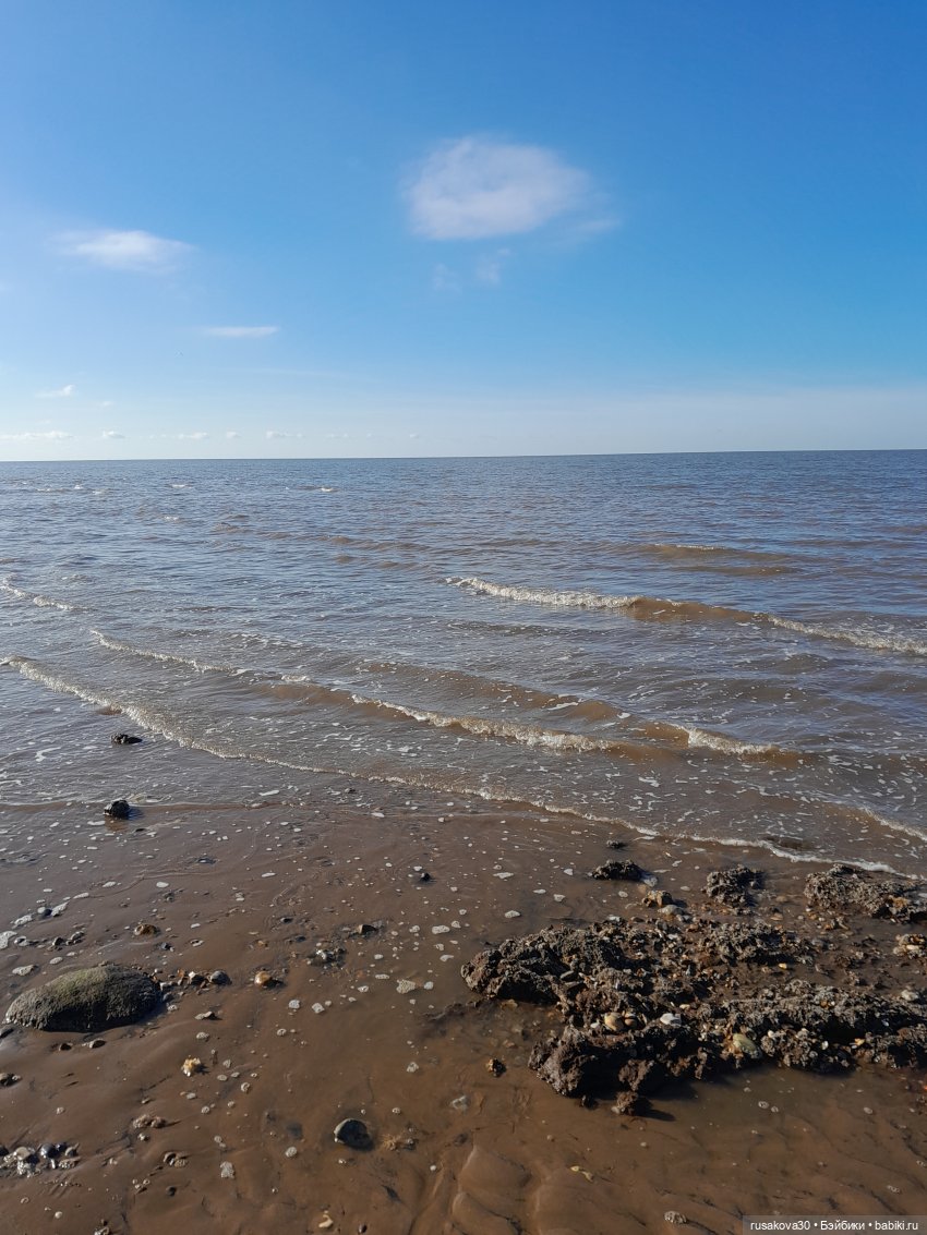 День святого Валентина с Роми и Люком (фото 6)