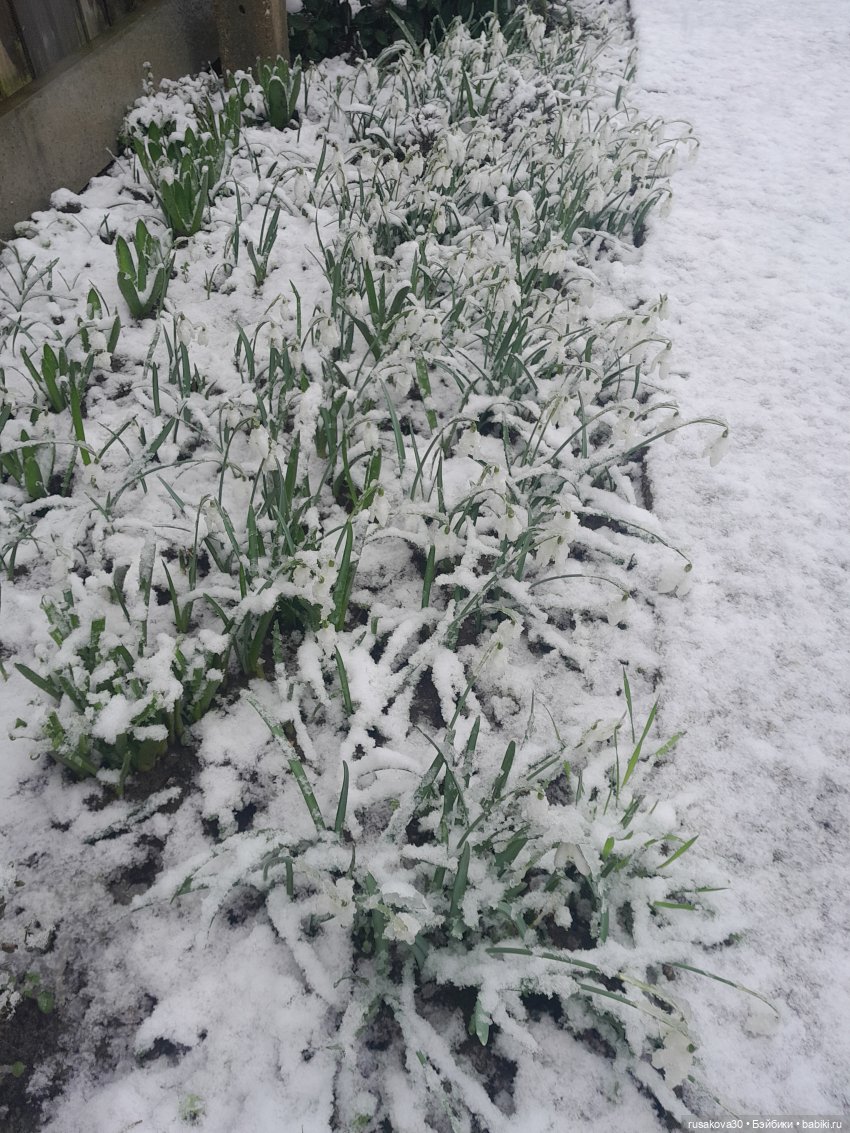 День святого Валентина с Роми и Люком