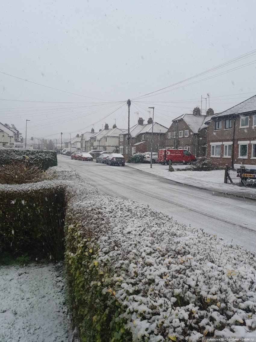 Прогулки со Снежкой — Куклы Disney Animators и Принцессы Диснея: Disney Store