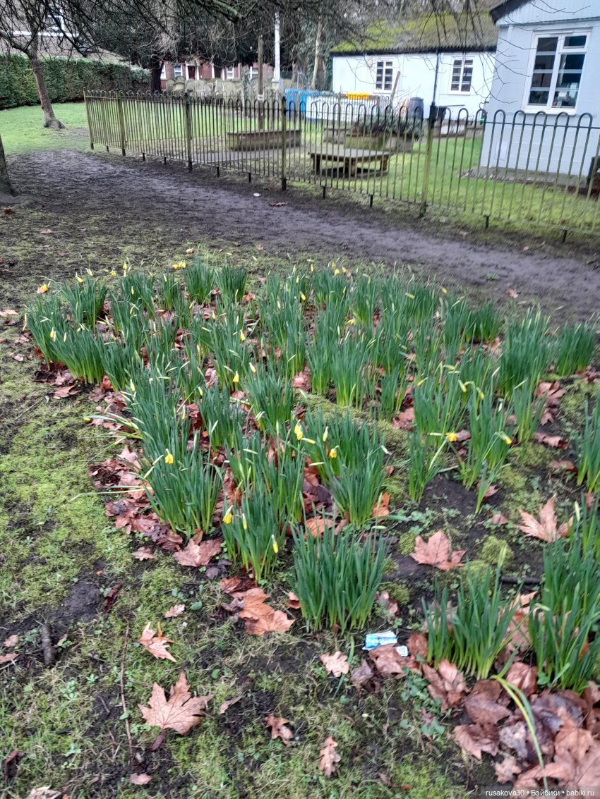 Прогулки со Снежкой — Куклы Disney Animators и Принцессы Диснея: Disney Store