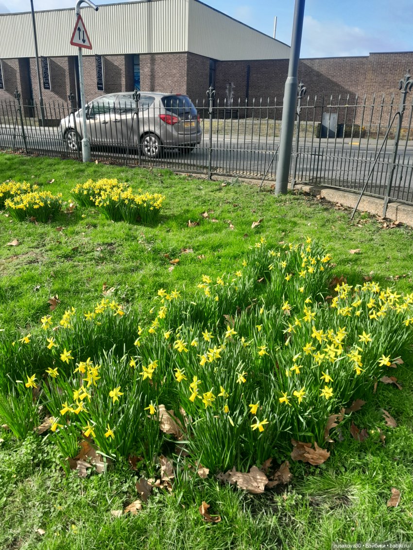 Зиму проводили,весну встречаем (фото 3)
