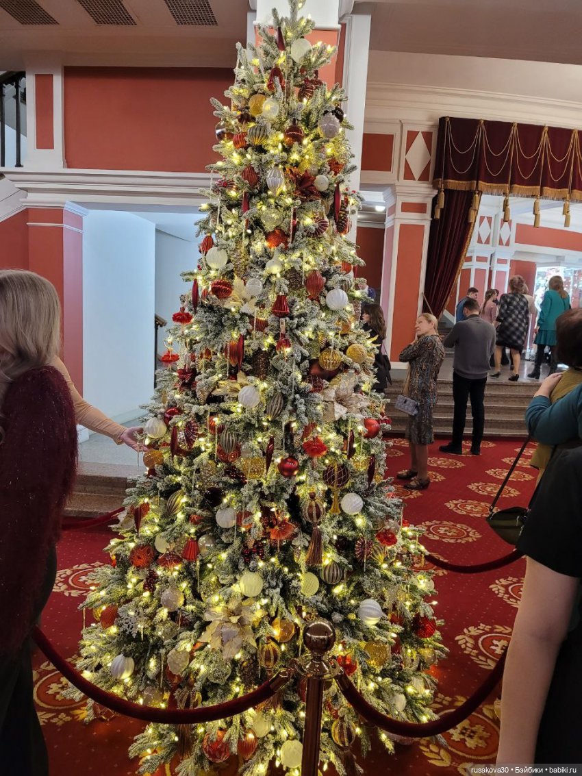 Новосибирский Оперный и другие театры (фото 10)