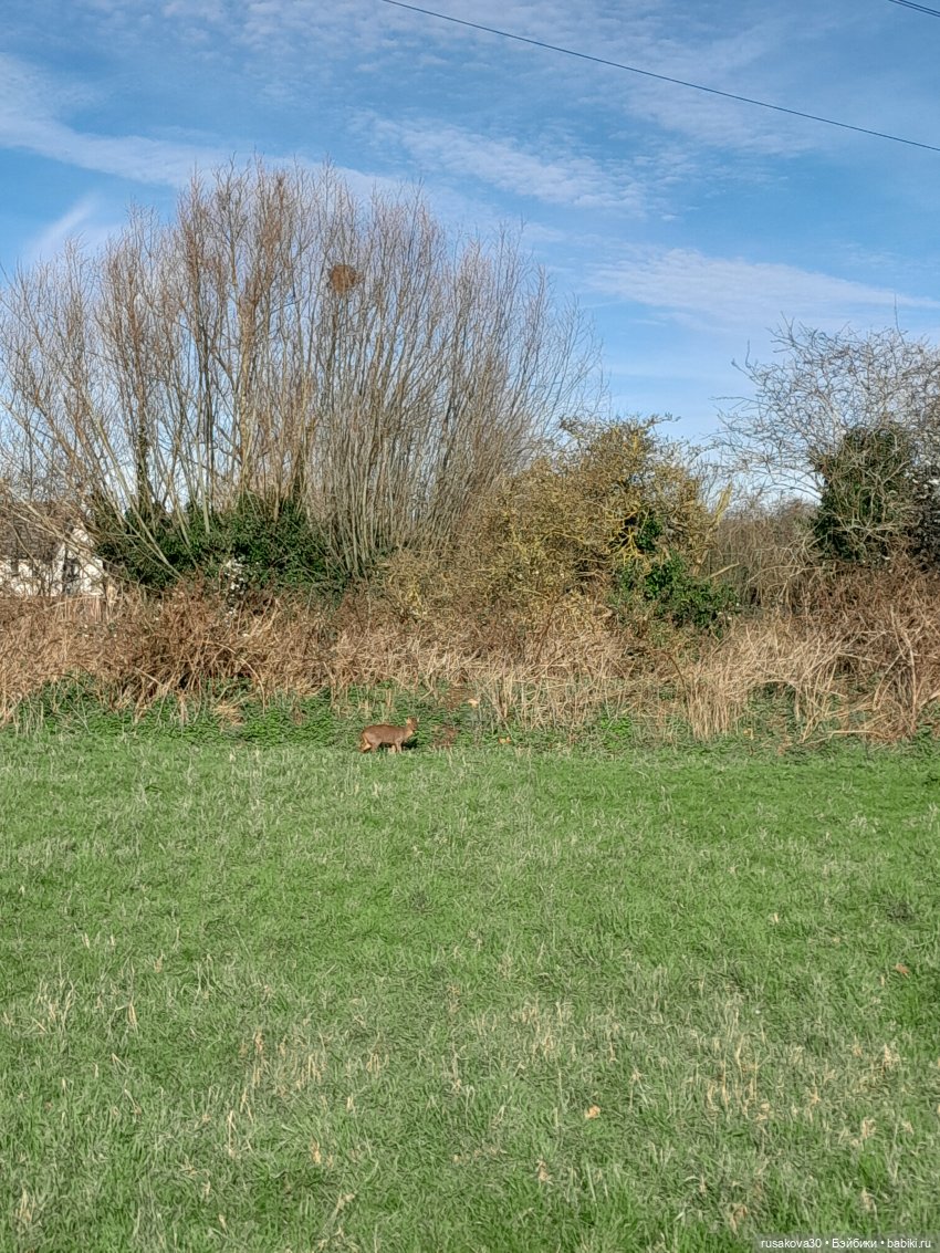 Весна идет,Весне дорогу — Экшн (фото 10)