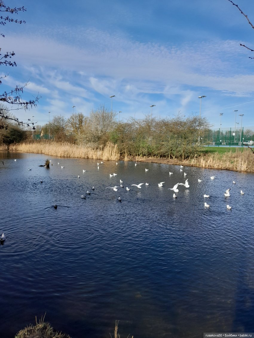 Весна идет,Весне дорогу — Экшн (фото 7)