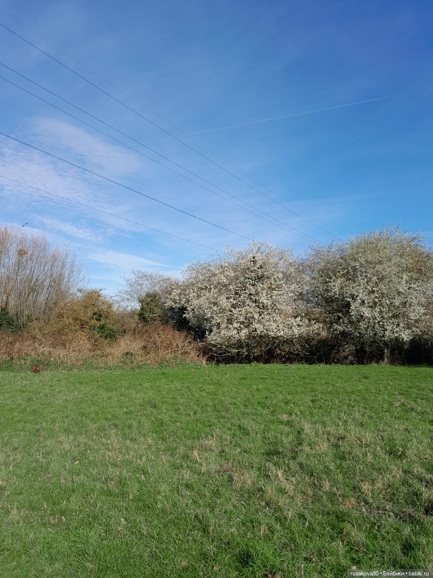 Весна идет,Весне дорогу — Экшн