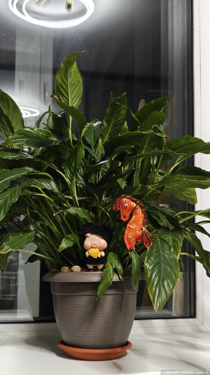 Поросенок Лелик — Интересные игрушки и фигурки (разное): редкие