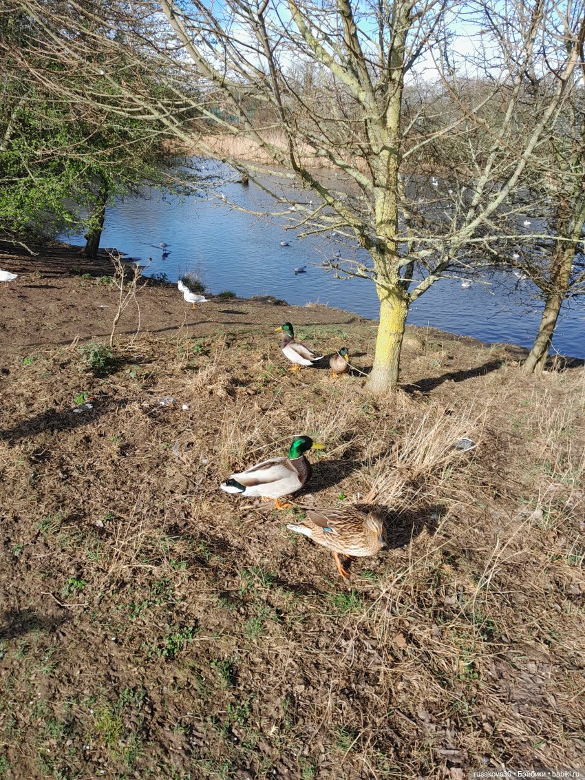 Весна идет,Весне дорогу — Экшн (фото 9)