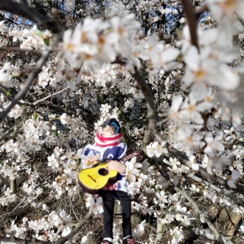 Весна идет,Весне дорогу ...