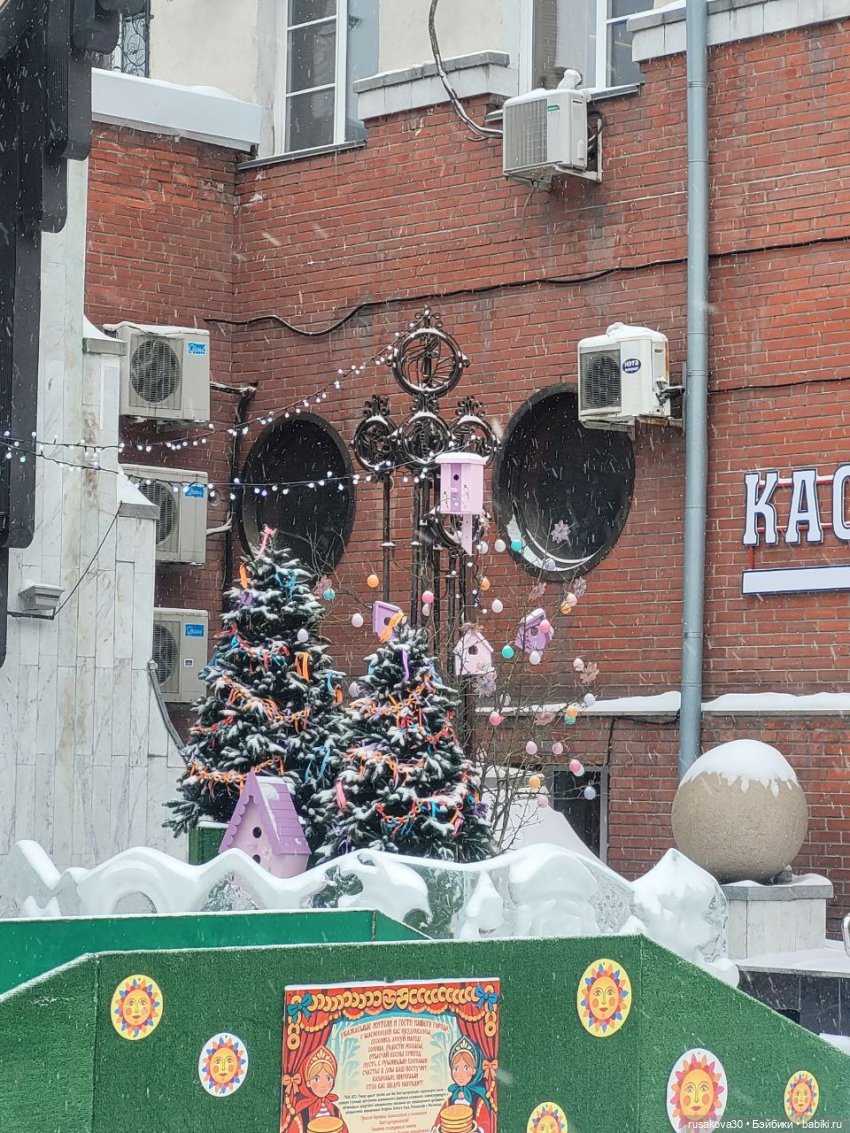 Поросенок Лелик гуляет по Новосибирску (фото 3)