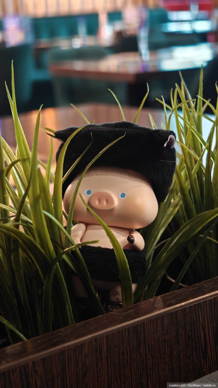 Поросенок Лелик гуляет по Новосибирску