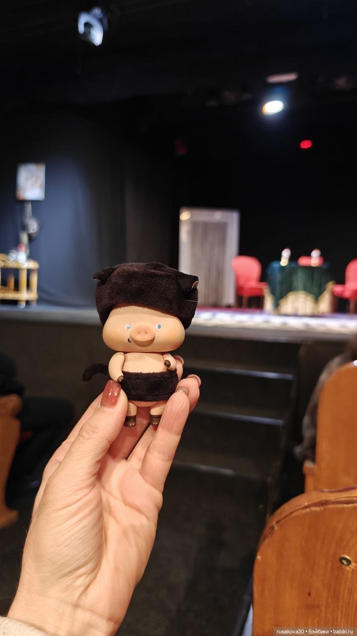 Поросенок Лелик гуляет по Новосибирску