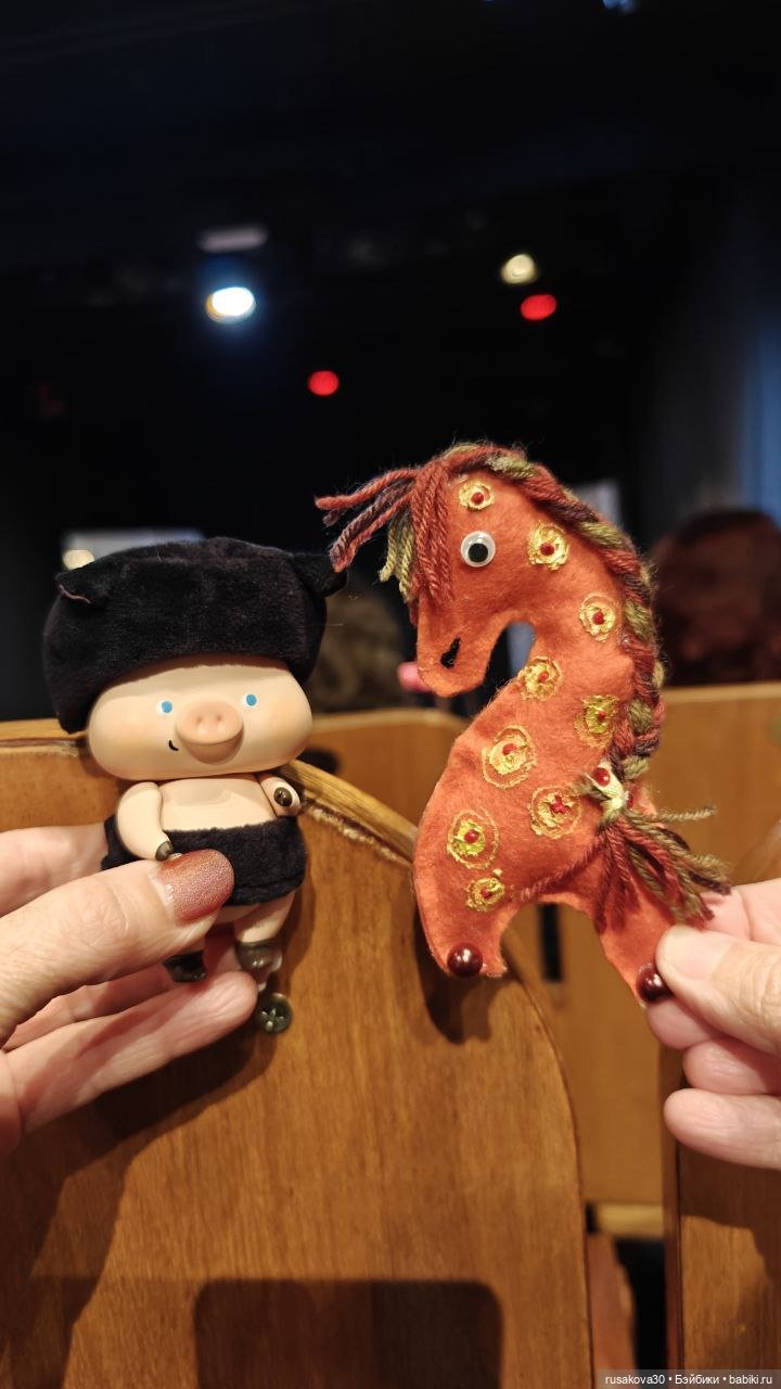 Поросенок Лелик гуляет по Новосибирску