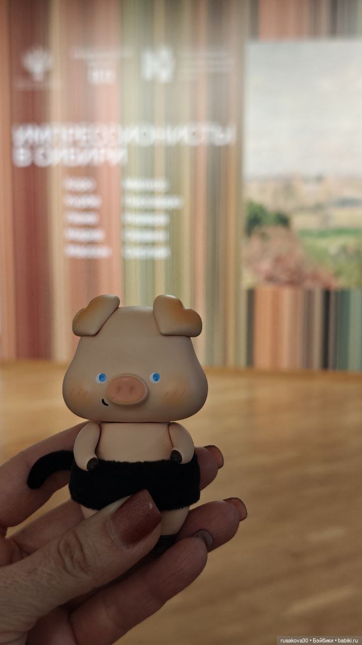 Поросенок Лелик гуляет по Новосибирску (фото 9)