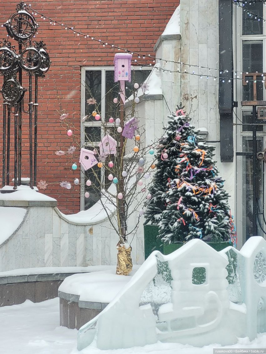 Поросенок Лелик гуляет по Новосибирску (фото 2)