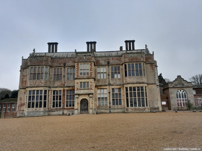 Как Алиса и лисята 8 марта отметили (фото 5)