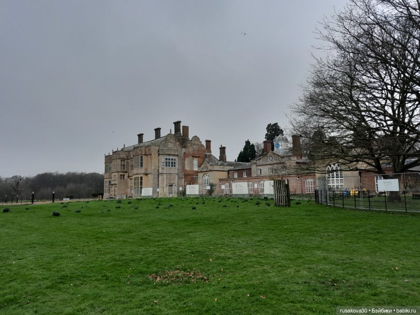 Как Алиса и лисята 8 марта отметили (фото 4)