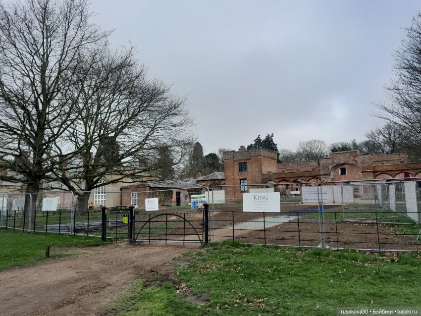 Как Алиса и лисята 8 марта отметили (фото 6)