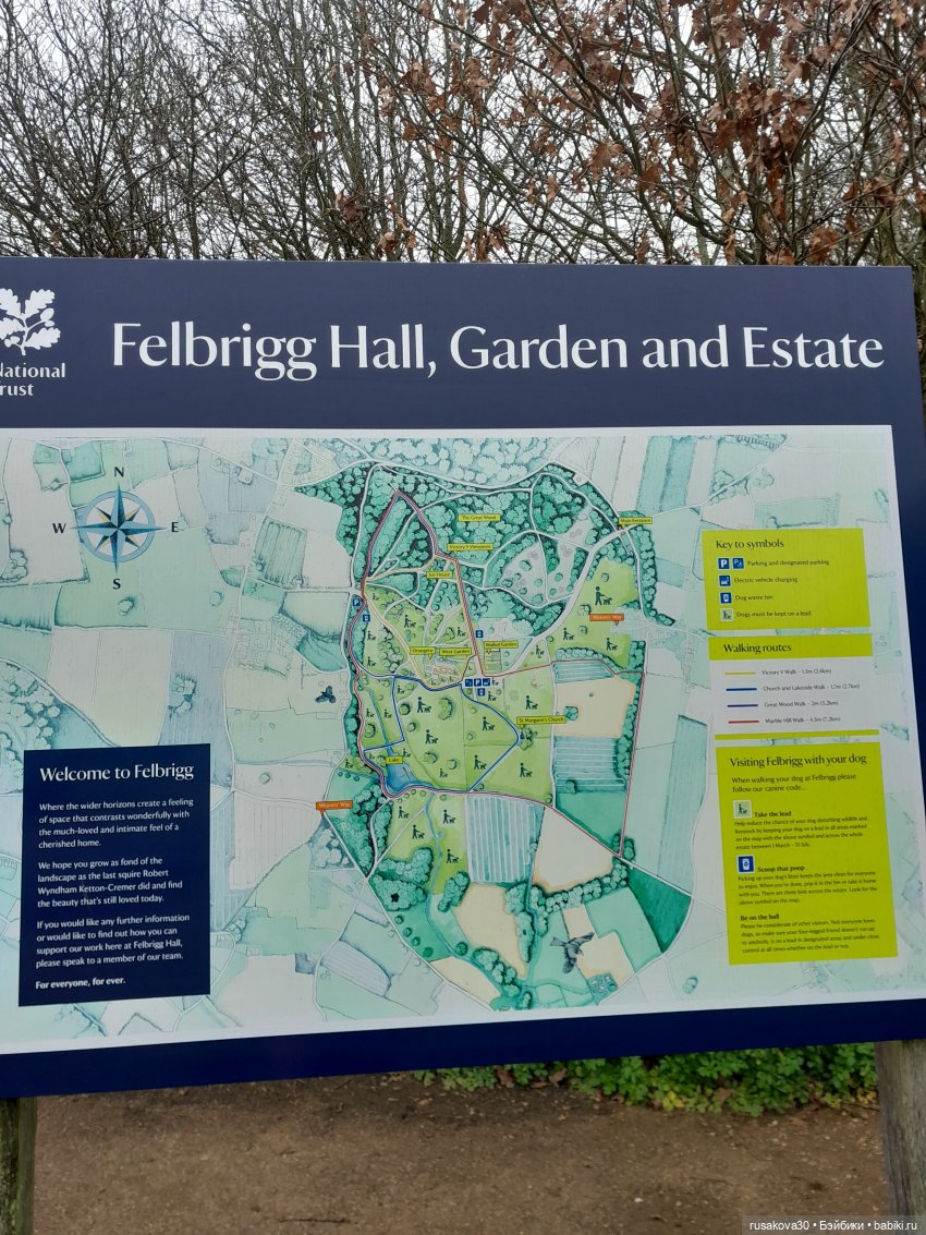 Как Алиса и лисята 8 марта отметили