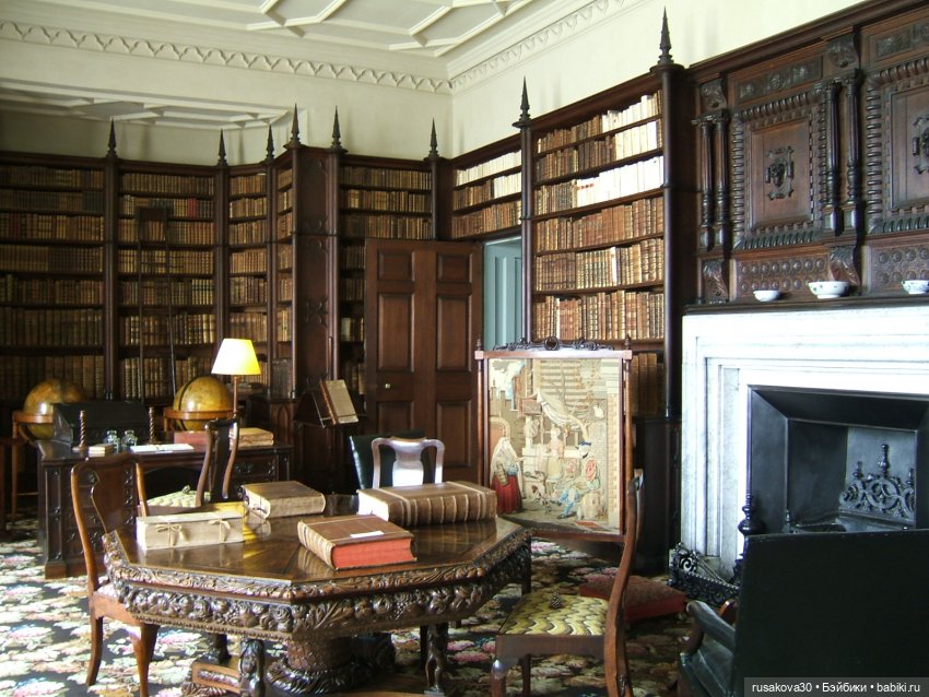 Как Алиса и лисята 8 марта отметили