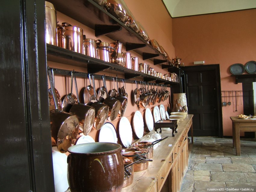 Как Алиса и лисята 8 марта отметили