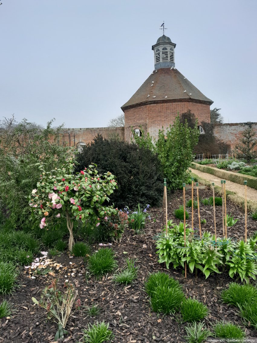 Алиса и лисята гуляют по садам Фелбригг-Холла (фото 8)