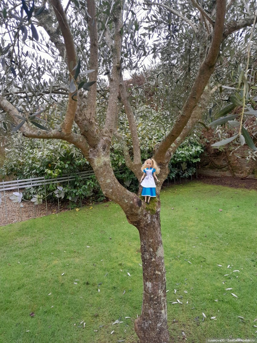 Алиса и лисята гуляют по садам Фелбригг-Холла (фото 5)