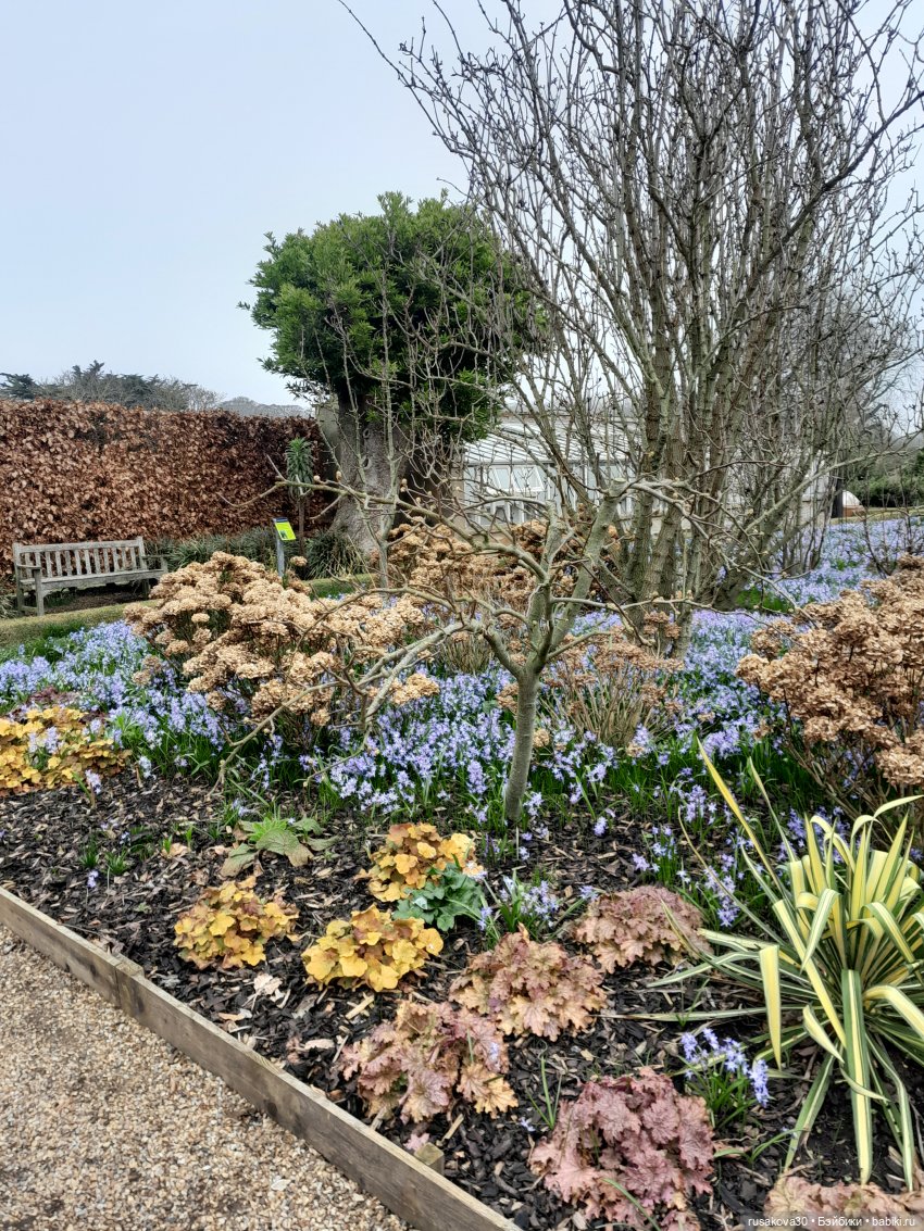 Алиса и лисята гуляют по садам Фелбригг-Холла (фото 6)