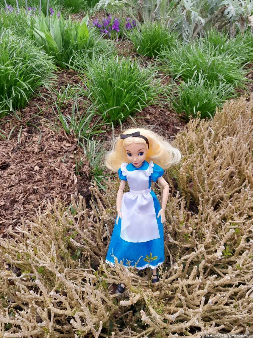 Алиса и лисята гуляют по садам Фелбригг-Холла