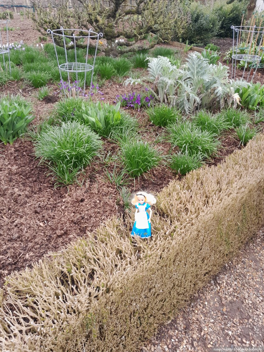 Алиса и лисята гуляют по садам Фелбригг-Холла (фото 10)