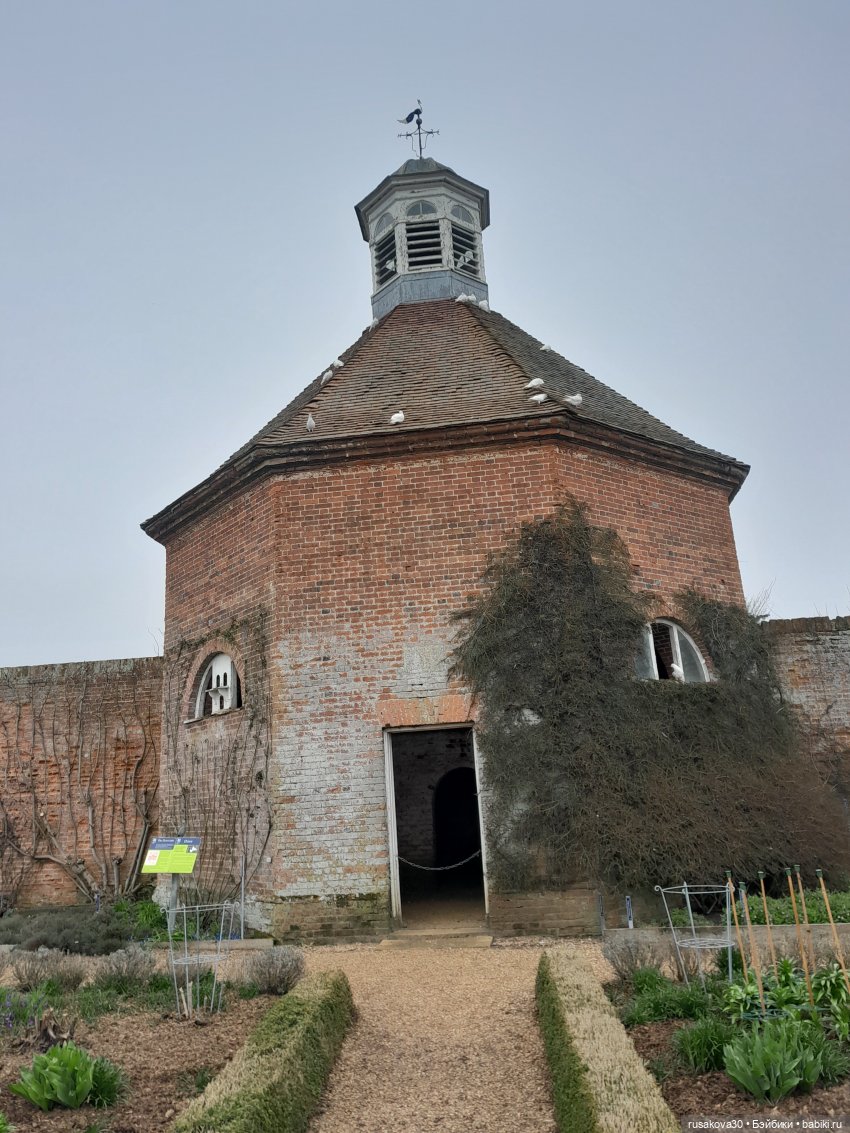 Алиса и лисята гуляют по садам Фелбригг-Холла (фото 9)