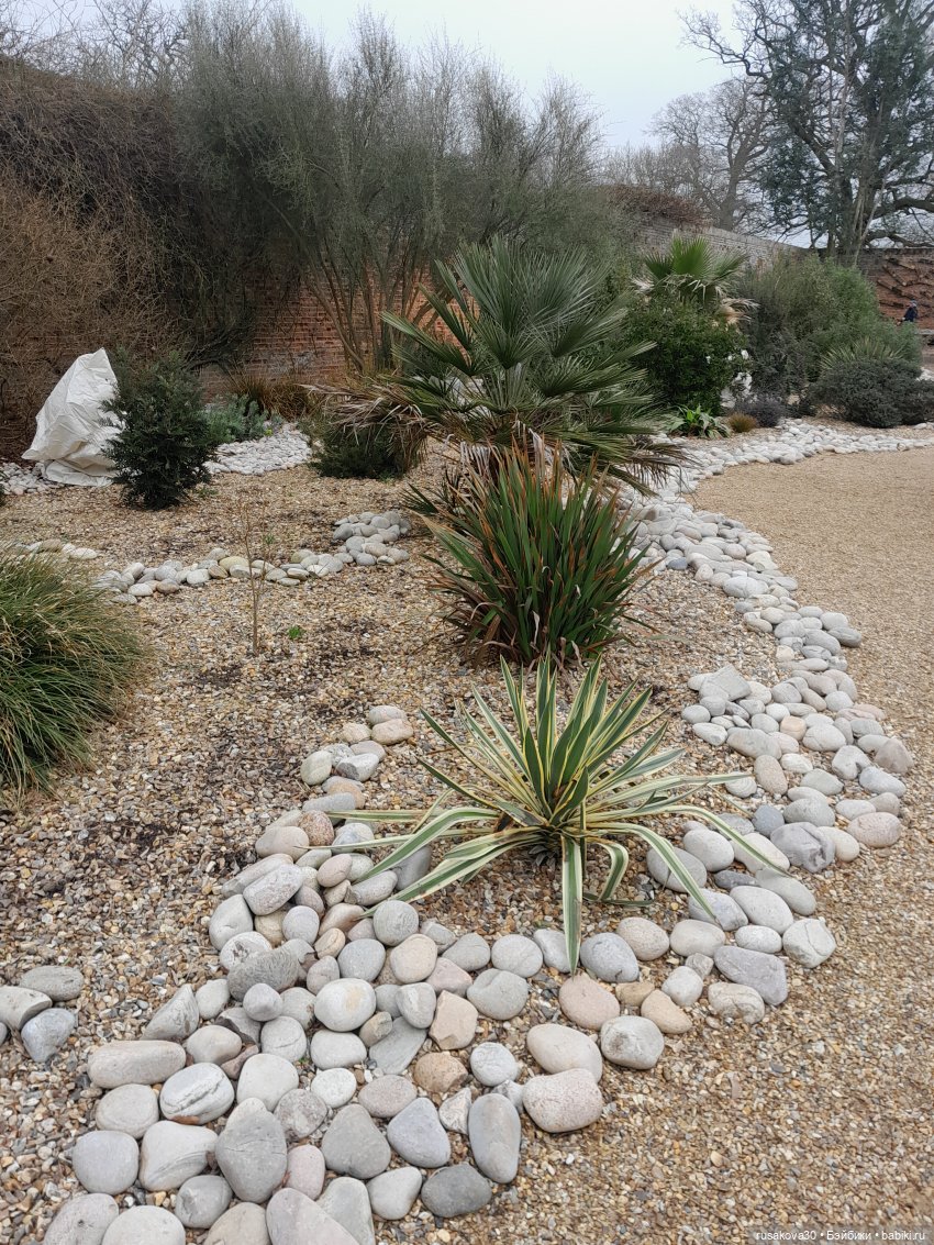 Алиса и лисята гуляют по садам Фелбригг-Холла