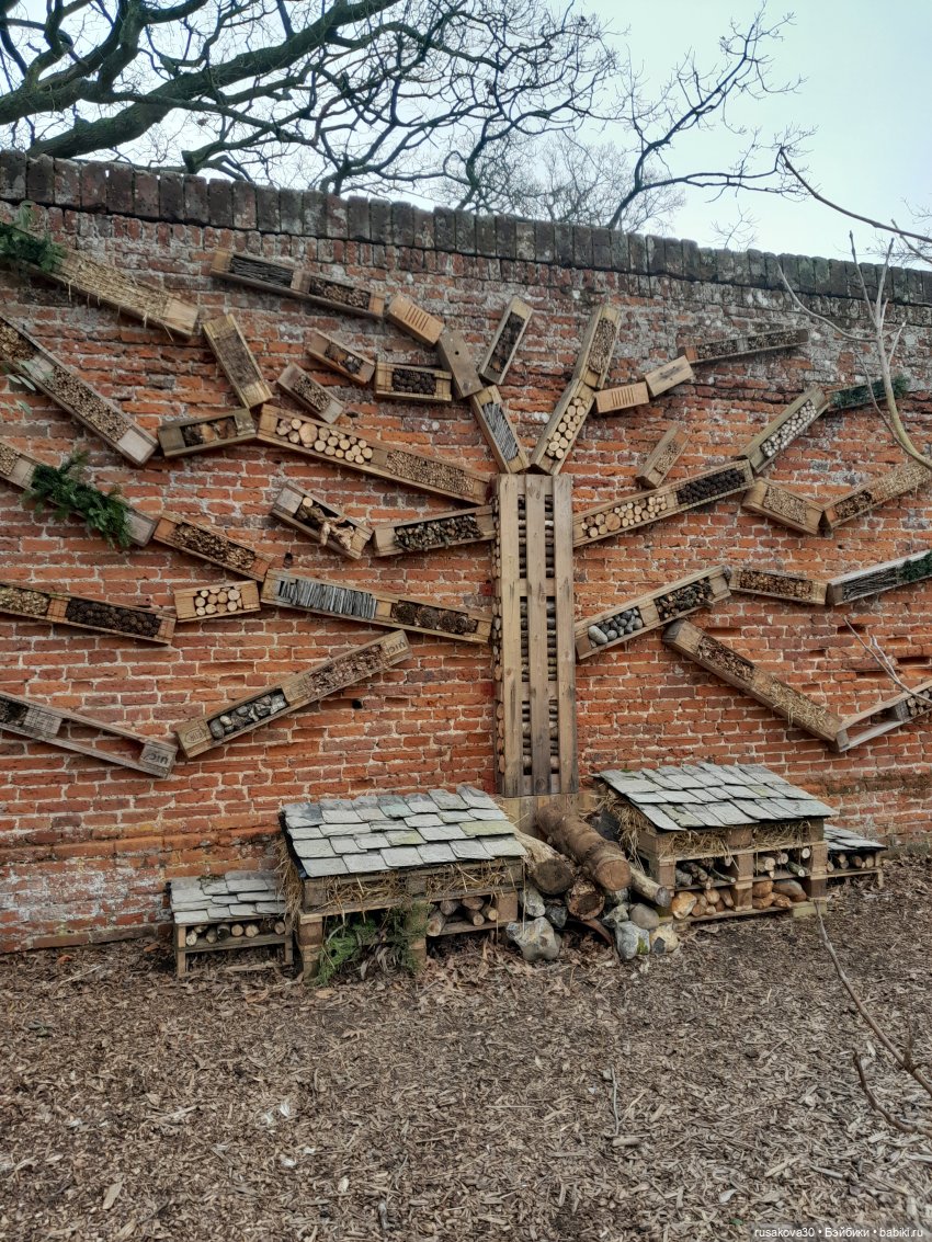 Алиса и лисята гуляют по садам Фелбригг-Холла