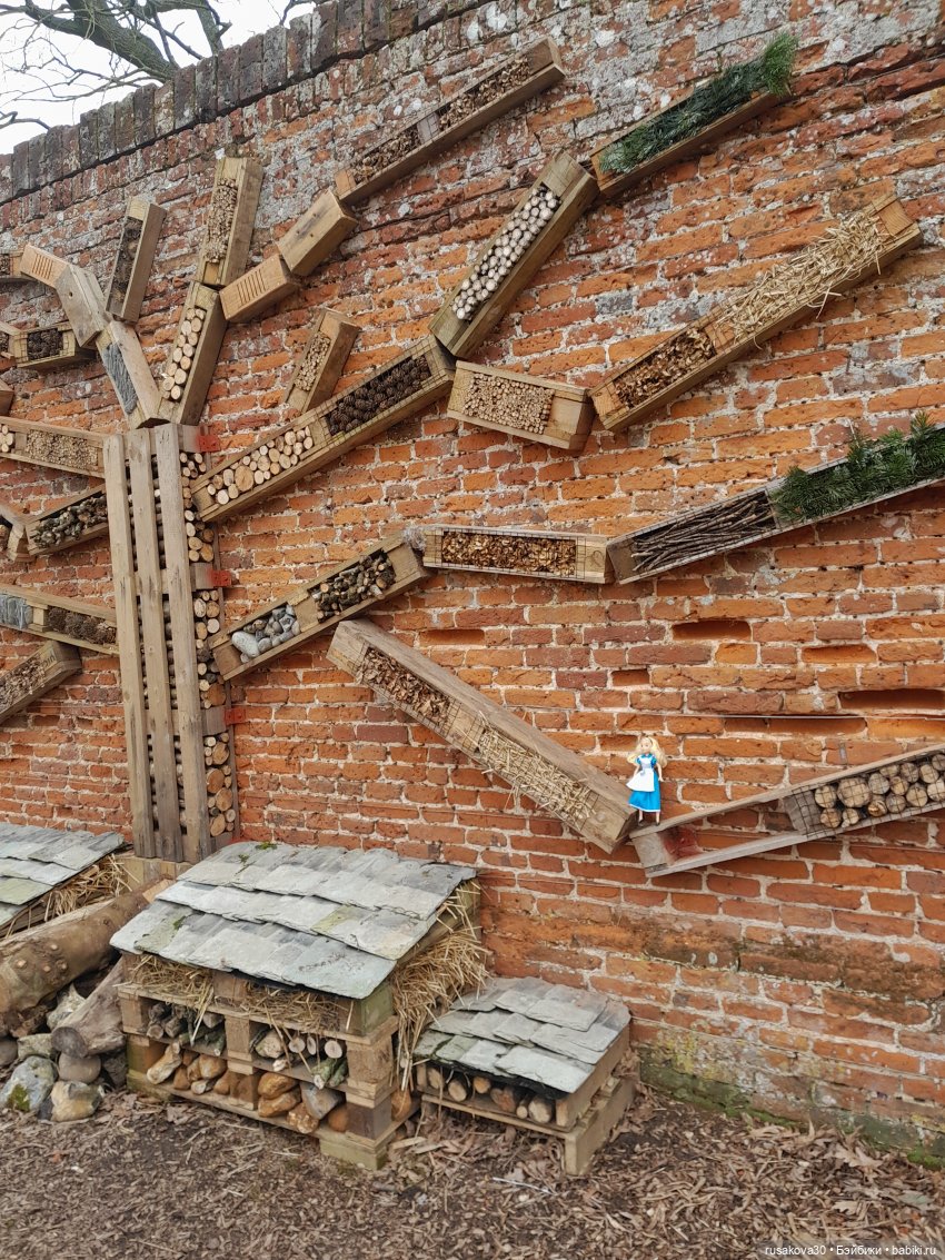 Алиса и лисята гуляют по садам Фелбригг-Холла