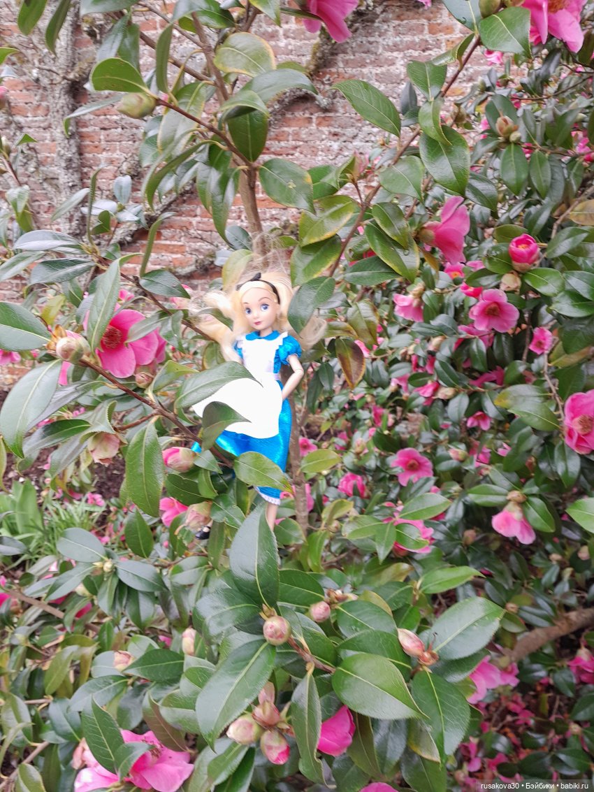 Алиса и лисята гуляют по садам Фелбригг-Холла