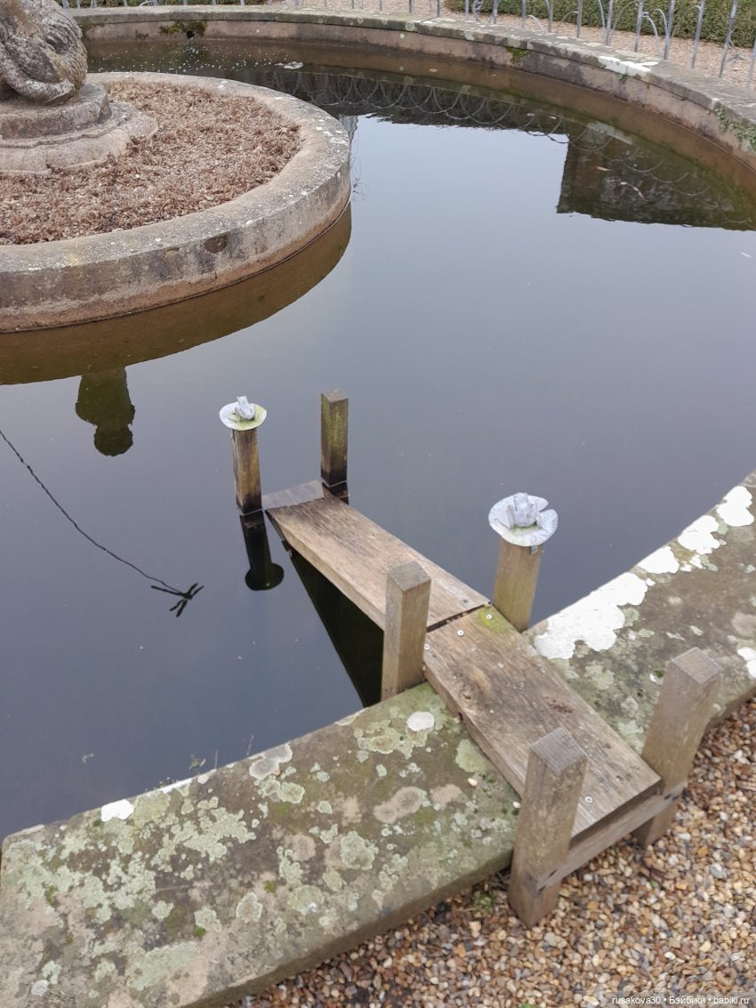 Алиса и лисята гуляют по садам Фелбригг-Холла