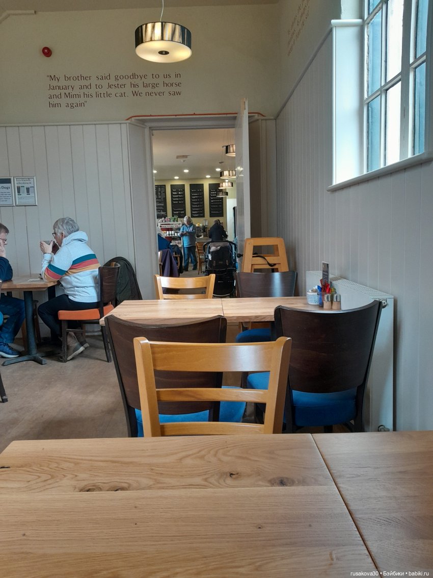 Алиса и лисята гуляют по садам Фелбригг-Холла