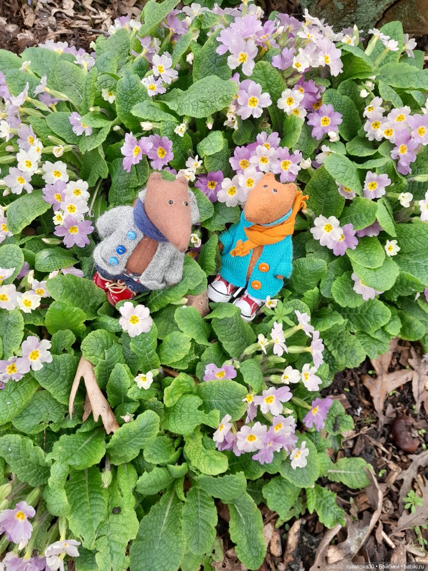 Алиса и лисята гуляют по садам Фелбригг-Холла