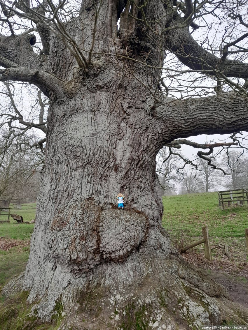 Алиса и лисята гуляют по садам Фелбригг-Холла