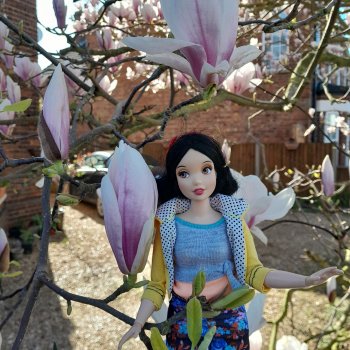 В краю магнолий плещет море.