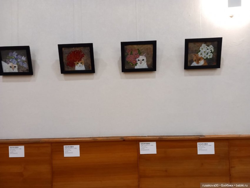 Культурный центр "Сибирь-Хоккайдо" в Новосибирске | Бэйбики Культурный центр "Сибирь-Хоккайдо" в Новосибирске