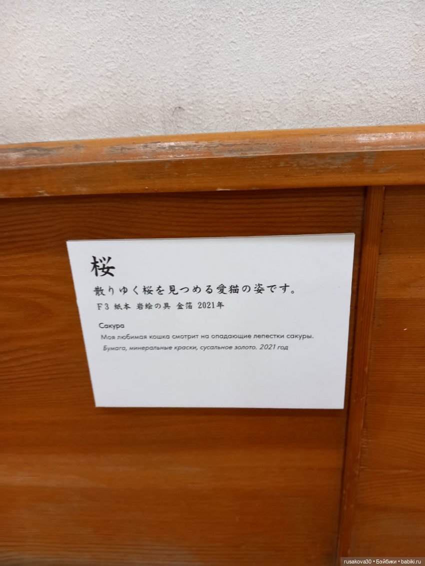 Культурный центр "Сибирь-Хоккайдо" в Новосибирске | Бэйбики Культурный центр "Сибирь-Хоккайдо" в Новосибирске