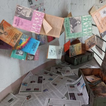 Новосибирск ,музей "Башня".